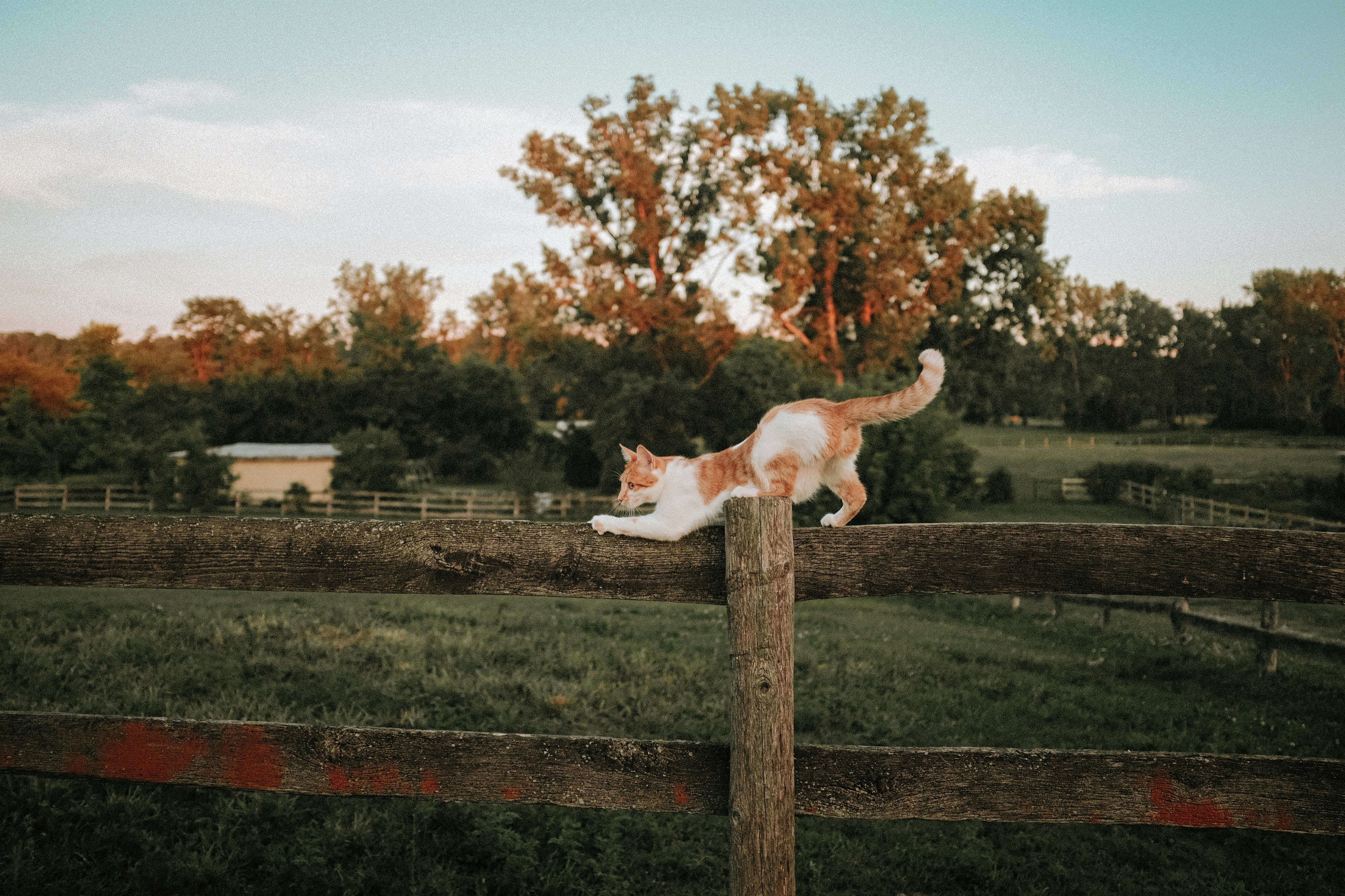 Person practicing gentle movement